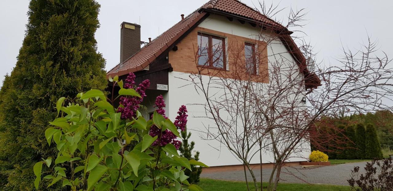 Dom W Skowronkach Villa Sasino Dış mekan fotoğraf